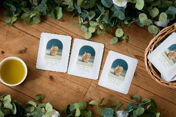 緑茶ティーバッグ　フレームデザインの画像