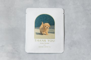 緑茶ティーバッグ　フレームデザインの画像