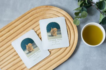 緑茶ティーバッグ　フレームデザインの画像