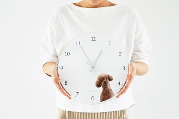 丸時計 30cm シンプルデザインの画像