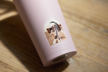 タンブラー ラウンドフレームデザイン 300mlの画像