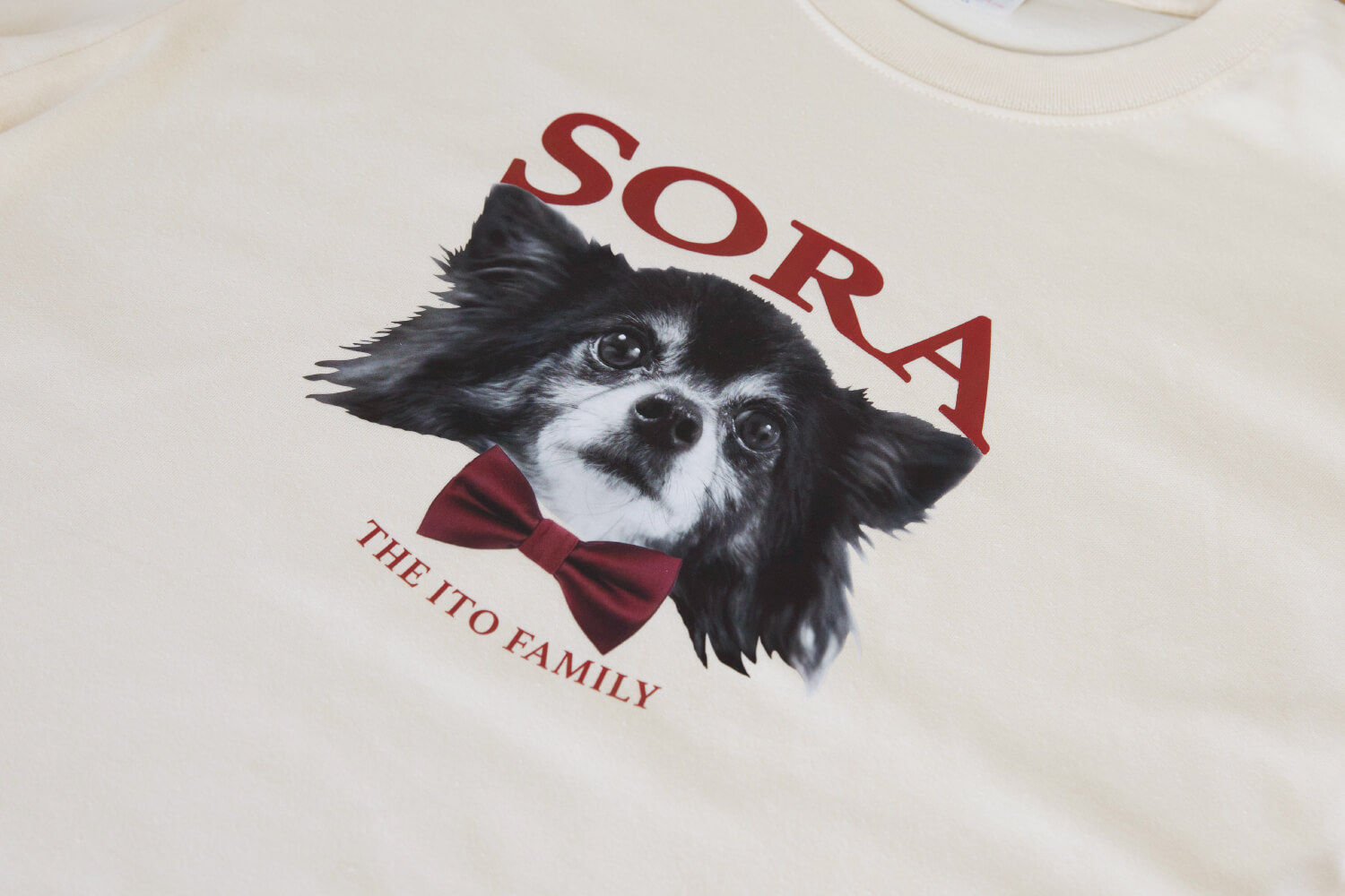 Tシャツ リボンデザインの画像