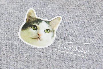 スウェット ワンポイントふちどりデザインの画像