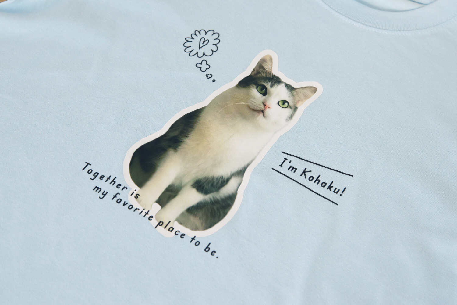 Tシャツ ふちどりデザインの画像