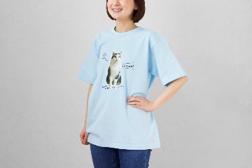 Tシャツ ふちどりデザインの画像