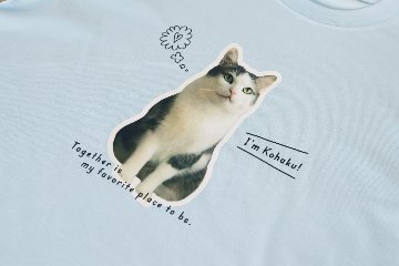 Tシャツ ふちどりデザインの画像