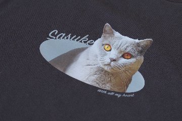 Tシャツ ひょっこりデザインの画像