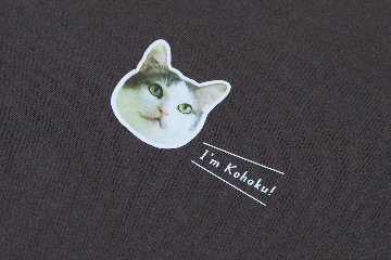 Tシャツ ワンポイントふちどりデザインの画像