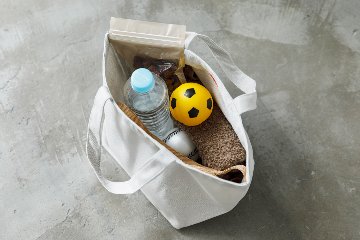 お散歩バッグ リボンデザインの画像