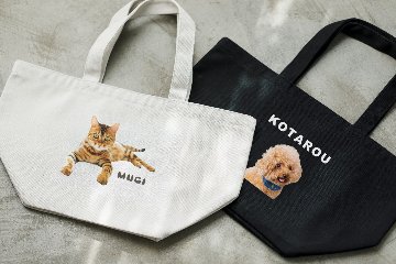 お散歩バッグ シンプルデザインの画像