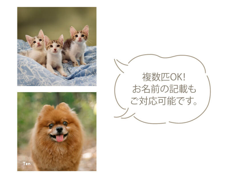 お写真そのままデザインの見本・複数匹のお写真に対応、お名前の記載も可能