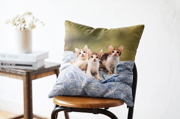 ペットの写真で作るうちの子ボアブランケット 100×70cm|Original-pet