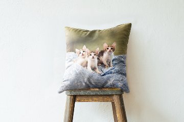 プリントスクエアクッション お写真そのままデザインの画像