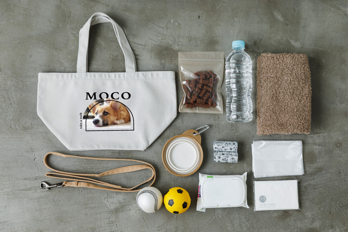 うちの子お散歩バッグ