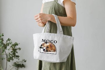 お散歩バッグの画像