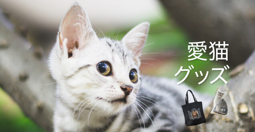 愛猫グッズ