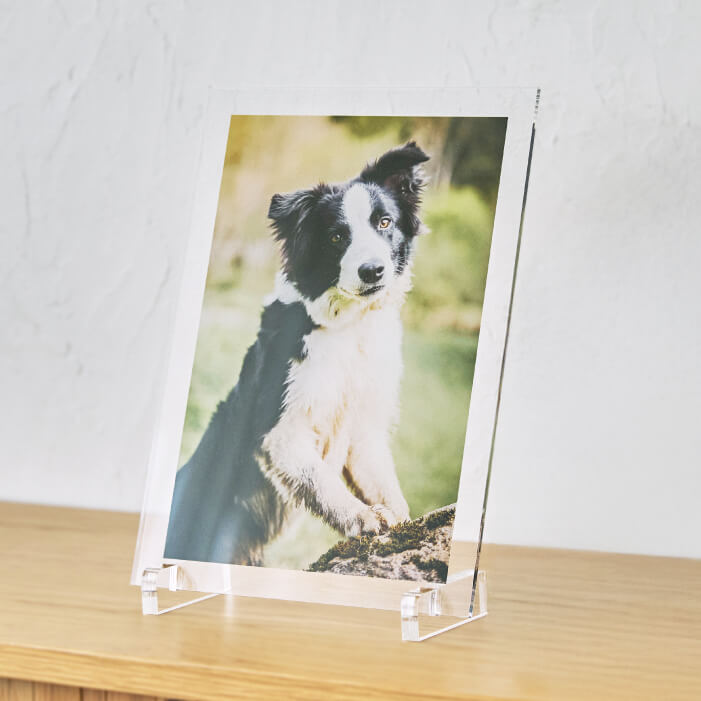 アクリアフォトパネル A4サイズ