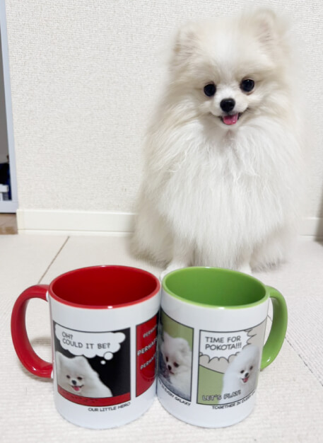 犬の写真で作ったペアカラーハンドルマグカップの仕上がり写真（お客様の声）