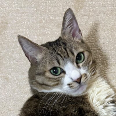 ふちどりクッション 40cmへのお客様の声