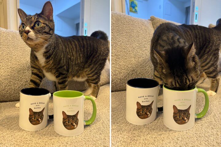 猫の写真で作ったペアカラーハンドルマグカップの仕上がり写真（お客様の声）