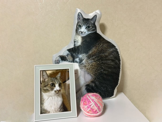 猫の写真で作ったふちどりクッション 40cmの仕上がり写真（お客様の声）