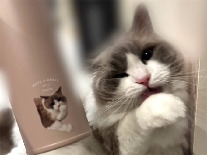 猫の写真で作った水筒 シンプルロハスデザイン 480mlの仕上がり写真（お客様の声）