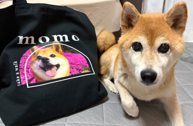 うちの子トートバッグへのお客様の声