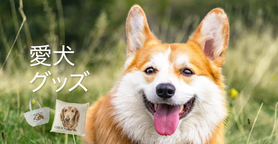 愛犬グッズ