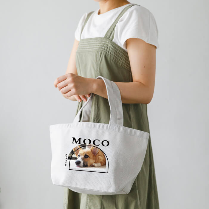 うちの子お散歩バッグ