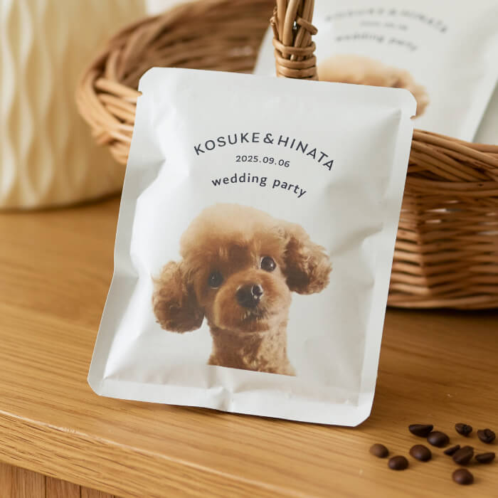 コーヒードリップバッグ　シンプルロハスデザイン