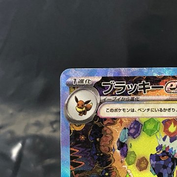 素体 ブラッキーex SAR 217/187の画像