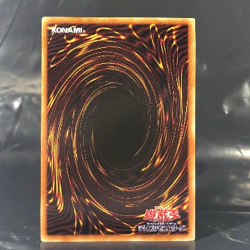 素体 BLUE EYES WHITE DRAGON PSE AC02-JP000 アニメーションクロニクル2022の画像