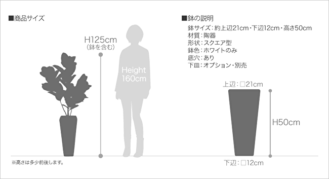 リアルタッチ ラバープラント アルテシマ(ゴムの木) 125cmの画像