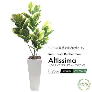 リアルタッチ ラバープラント アルテシマ(ゴムの木) 125cmの画像
