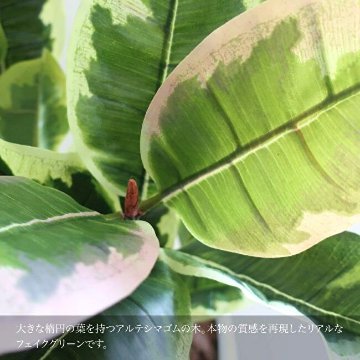 リアルタッチ ラバープラント アルテシマ(ゴムの木) 125cmの画像