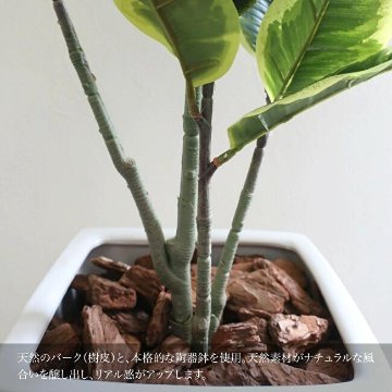 リアルタッチ ラバープラント アルテシマ(ゴムの木) 125cmの画像