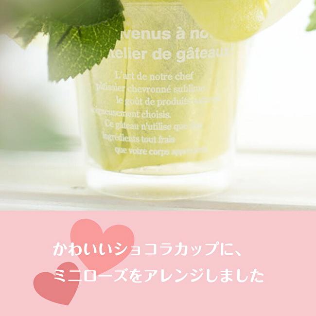 ショコラカップのローズアレンジメントの画像