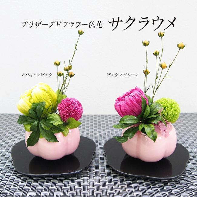 プリザーブドフラワー 仏花 サクラウメの画像