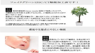 フレンチガーデンの画像