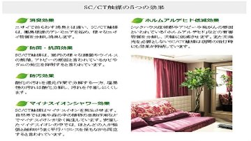 フレンチガーデンの画像