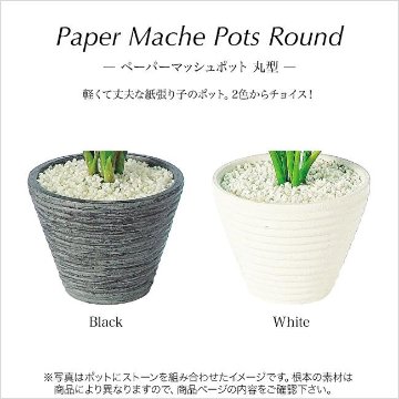 ライムポトス 35cmの画像