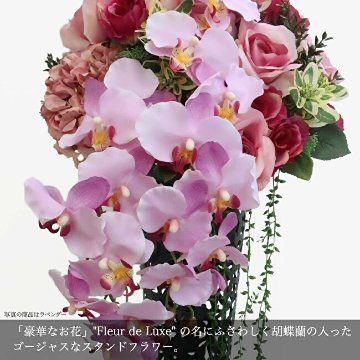 フルールドリュクスの画像