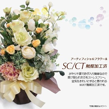 フルールリッシュの画像