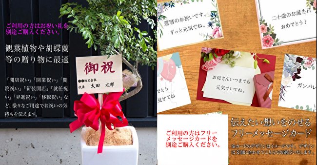 風雅 FUGAの画像