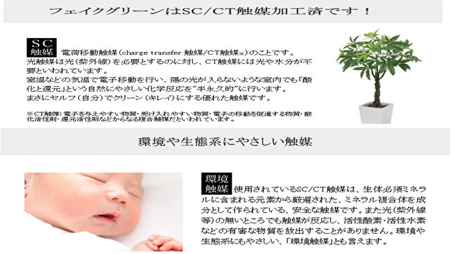 風雅 FUGAの画像
