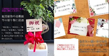 風雅 FUGAの画像