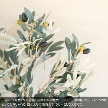 オリーブトピアリー ナチュラルポット 100cmの画像