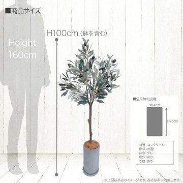 オリーブトピアリー ナチュラルポット 100cmの画像