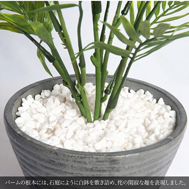 ミニパーム和モダンポット Wabi 侘(わび) 45cmの画像
