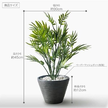 ミニパーム和モダンポット Wabi 侘(わび) 45cmの画像
